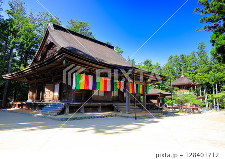 【和歌山県】快晴の高野山の壇上伽藍の大会堂と東塔 128401712