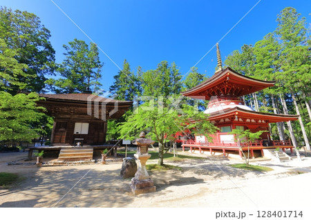 【和歌山県】快晴の高野山の壇上伽藍の三味堂と東塔 【和歌山県】快晴の高野山の壇上伽藍の三味堂と東塔 128401714