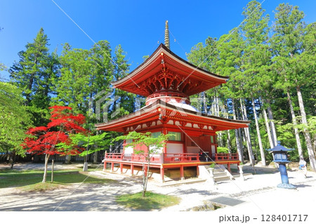 【和歌山県】快晴の高野山の壇上伽藍の東塔 【和歌山県】快晴の高野山の壇上伽藍の東塔 128401717