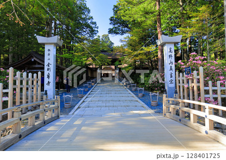 【和歌山県】晴天下の金剛峯寺の正門（高野山） 128401725