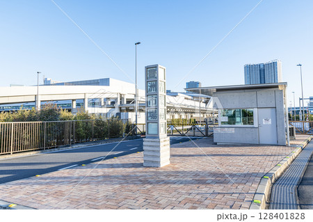 東京都江東区　各地から集められた様々な青果を取り扱う豊洲市場青果棟 128401828