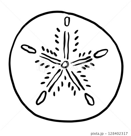 Sand dollar  Hand drawn line art sketch doodle fisherman aesthetic coastal nautical illustration  128402317