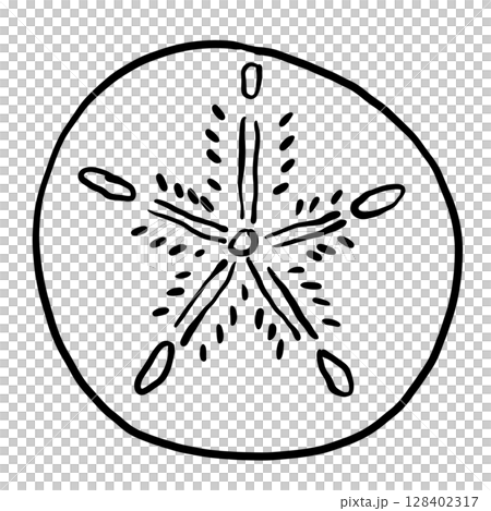 Sand dollar  Hand drawn line art sketch doodle fisherman aesthetic coastal nautical illustration  128402317