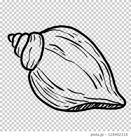 Sea Shells Hand drawn line art sketch doodle fisherman aesthetic coastal nautical illustration  128402318