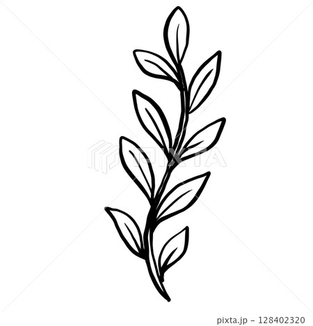 Seaweed Hand drawn line art sketch doodle fisherman aesthetic coastal nautical illustration  128402320