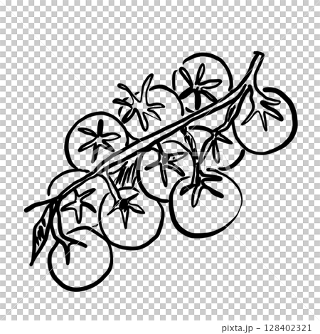 Cherry Tomatoes Hand drawn line art sketch doodle fisherman aesthetic coastal nautical illustration  128402321