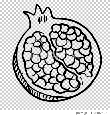 Pomegranate  Hand drawn line art sketch doodle fisherman aesthetic coastal nautical illustration  128402322