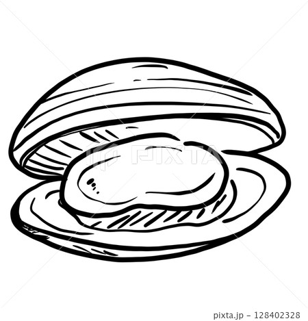 Clam opening shell Hand drawn line art sketch doodle fisherman aesthetic coastal nautical illustration Clam opening shell Hand drawn line art sketch doodle fisherman aesthetic coastal nautical illustration 128402328