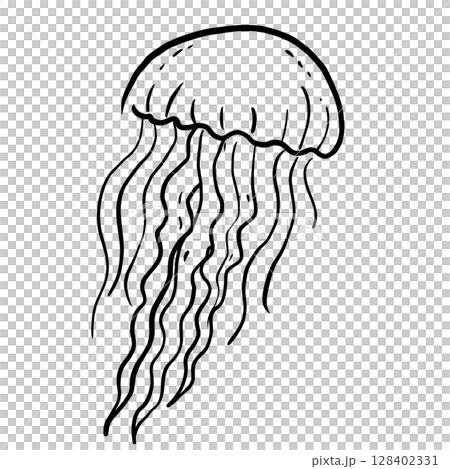 Jelly Fish Hand drawn line art sketch doodle fisherman aesthetic coastal nautical illustration Jelly Fish Hand drawn line art sketch doodle fisherman aesthetic coastal nautical illustration 128402331