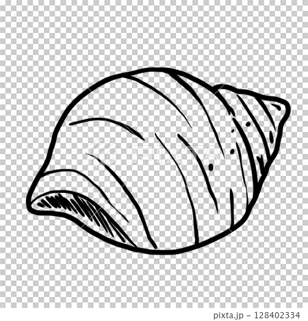 Sea Shells Hand drawn line art sketch doodle fisherman aesthetic coastal nautical illustration  128402334