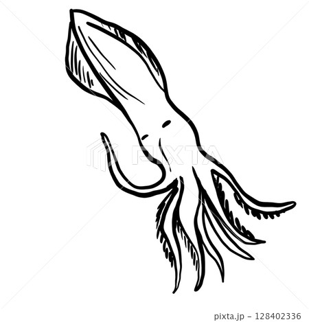 Squid Hand drawn line art sketch doodle fisherman aesthetic coastal nautical illustration  128402336