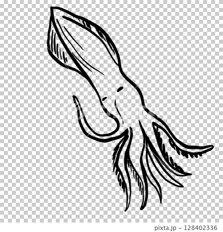 Squid Hand drawn line art sketch doodle fisherman aesthetic coastal nautical illustration  128402336
