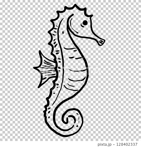 Seahorse Hand drawn line art sketch doodle fisherman aesthetic coastal nautical illustration  128402337