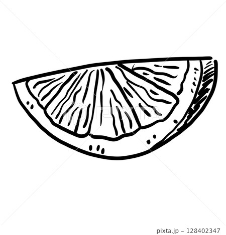 Lemon Slice Hand drawn line art sketch doodle fisherman aesthetic coastal nautical illustration  128402347