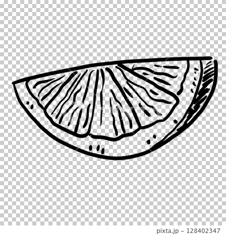 Lemon Slice Hand drawn line art sketch doodle fisherman aesthetic coastal nautical illustration  128402347