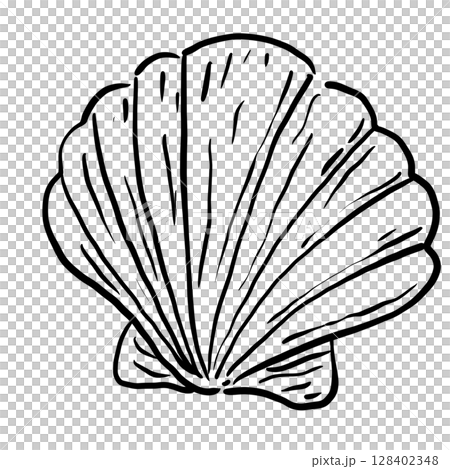 Sea Shells Hand drawn line art sketch doodle fisherman aesthetic coastal nautical illustration  128402348