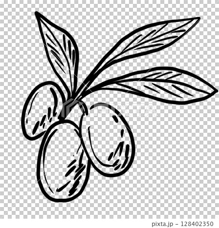 Olive branch Hand drawn line art sketch doodle fisherman aesthetic coastal nautical illustration  128402350