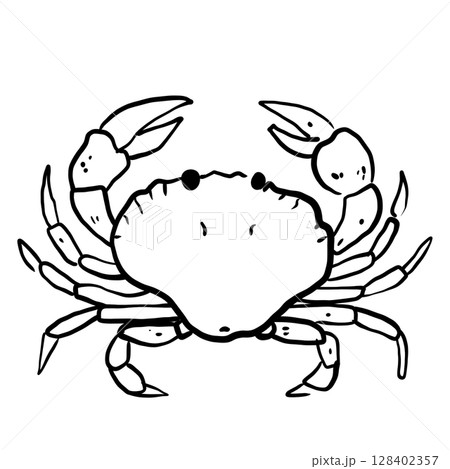 Crab Hand drawn line art sketch doodle fisherman aesthetic coastal nautical illustration  128402357