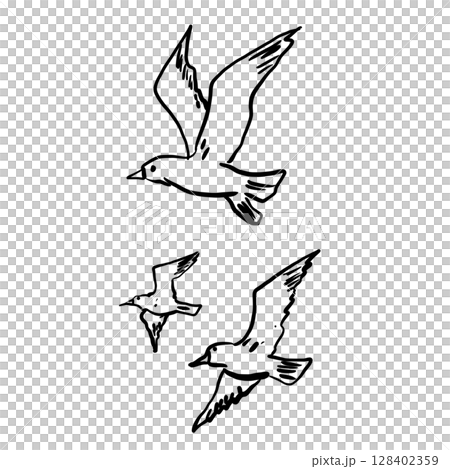 Seagulls flying Hand drawn line art sketch doodle fisherman aesthetic coastal nautical illustration  128402359