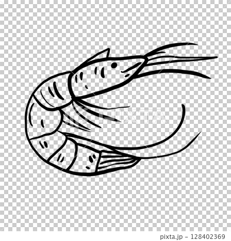 Shrimp Hand drawn line art sketch doodle fisherman aesthetic coastal nautical illustration  128402369