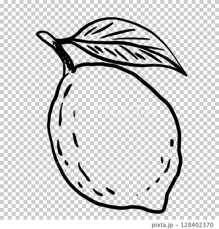 Lemon Hand drawn line art sketch doodle fisherman aesthetic coastal nautical illustration  128402370