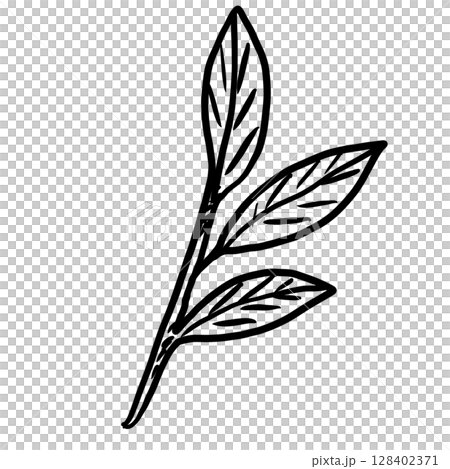 Leaf branch Hand drawn line art sketch doodle fisherman aesthetic coastal nautical illustration  128402371