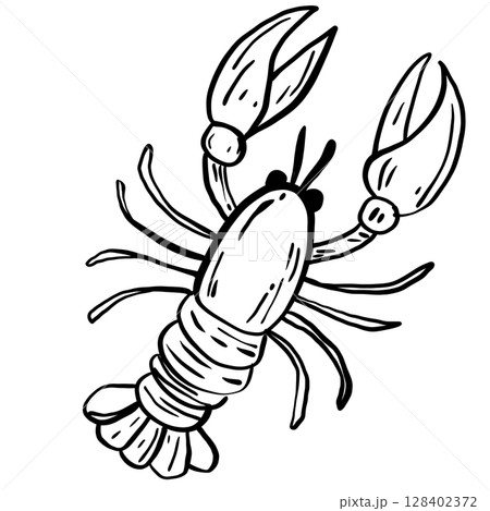 Lobster Hand drawn line art sketch doodle fisherman aesthetic coastal nautical illustration  128402372