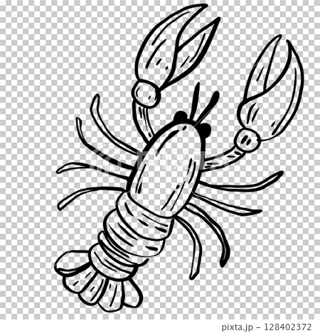 Lobster Hand drawn line art sketch doodle fisherman aesthetic coastal nautical illustration  128402372