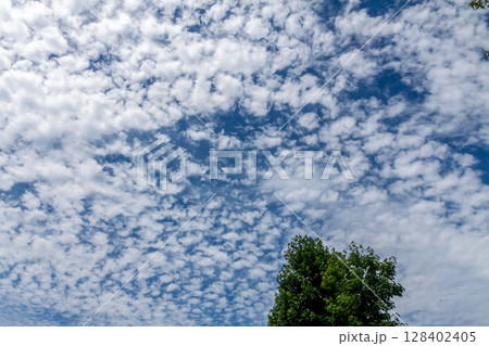 天空の青空に浮く雲の造形と樹【背景素材】 天空の青空に浮く雲の造形と樹【背景素材】 128402405