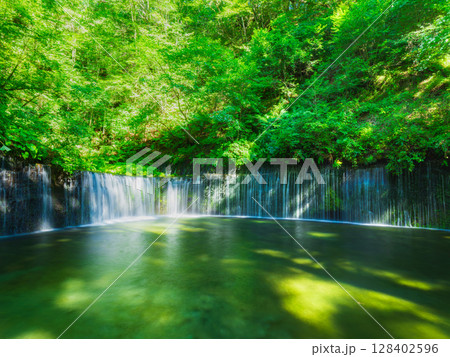 夏の軽井沢　白糸の滝 128402596