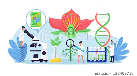 Biology, botany subject. Biologist exploring nature. Scientist make laboratory analysis of life system of plants. Molecular engineering, microbiology. Chemical researchers working with lab equipment 128402719