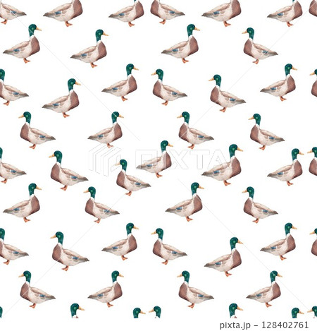 Seamless pattern with watercolor ducks hand drawn mallard birds on white background for kids wallpaper and fabric 128402761
