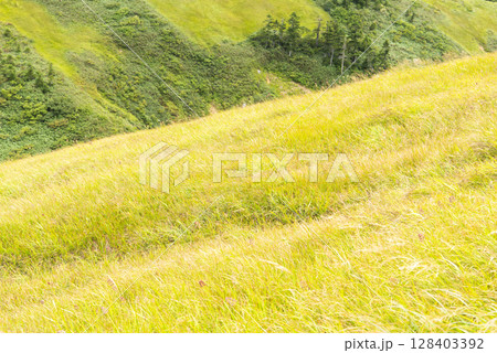 新潟県巻機山山登山道から望む草紅葉 128403392