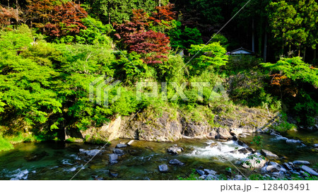 山奥の渓流 山奥の渓流 128403491