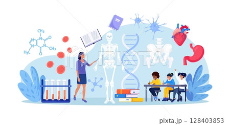 Anatomy school subject. Students studying human skeleton. Teacher pointing at chalkboard, teaching kids. Pupils learn nervous, bone, organs, blood systems. Biology classes, medicine 128403853