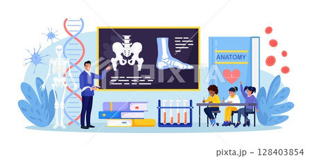 Anatomy school subject. Pupils studying human skeleton, bones. Teacher pointing at chalkboard, teaching kids. Students at desks learn body nervous, muscle, blood systems. Biology classes, medicine Anatomy school subject. Pupils studying human skeleton, bones. Teacher pointing at chalkboard, teaching kids. Students at desks learn body nervous, muscle, blood systems. Biology classes, medicine 128403854