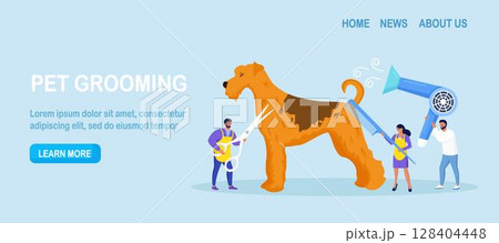 Woman and man caring of pet, cutting and brushing fur, washing. Professional barber grooming dog. Pet haircut, groomer salon 128404448