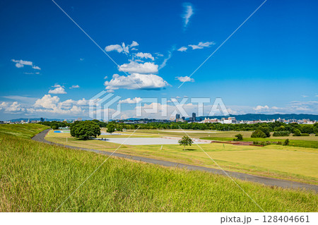 淀川河川公園鳥飼上地区の景観　摂津市 128404661