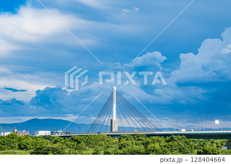 鳥飼仁和寺大橋　摂津市 128404664