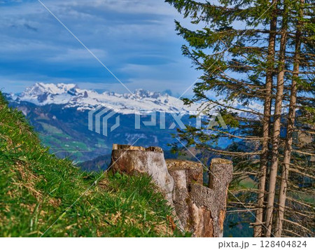 Majestic mountain view with snow-capped peaks and lush greenery in Switzerland during a clear day 128404824