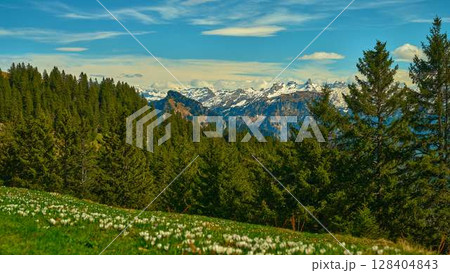 Breathtaking view of alpine mountains surrounded by lush greenery and wildflowers during a sunny day 128404843