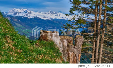 Scenic view of snow-capped mountains and tree stumps in a lush alpine landscape during a sunny day 128404844