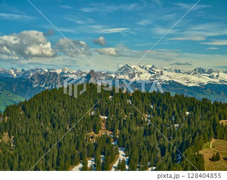 Majestic snow-capped mountains and lush green forests in the Swiss Alps during a sunny afternoon 128404855