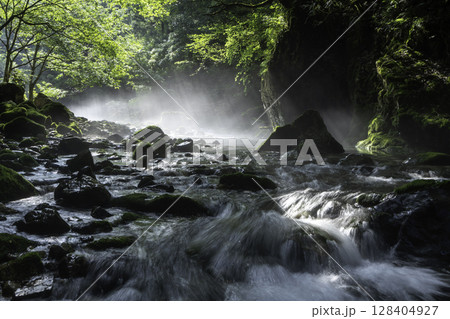 朝の光が差し込む幻想的な苔むした円原川の渓流風景(岐阜県) 朝の光が差し込む幻想的な苔むした円原川の渓流風景(岐阜県) 128404927