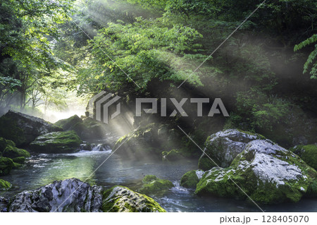 朝日が差し込む新緑と苔に包まれた円原川の幻想的な渓流風景 朝日が差し込む新緑と苔に包まれた円原川の幻想的な渓流風景 128405070