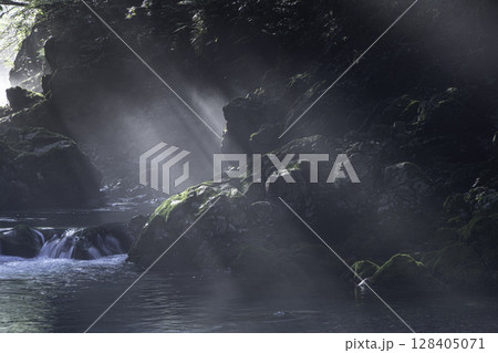 朝日が差し込む新緑と苔に包まれた円原川の幻想的な渓流風景 朝日が差し込む新緑と苔に包まれた円原川の幻想的な渓流風景 128405071