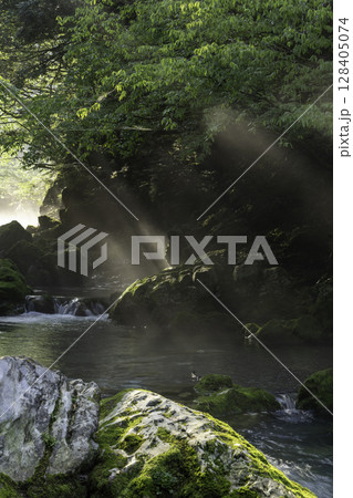 朝日が差し込む新緑と苔に包まれた円原川の幻想的な渓流風景 朝日が差し込む新緑と苔に包まれた円原川の幻想的な渓流風景 128405074