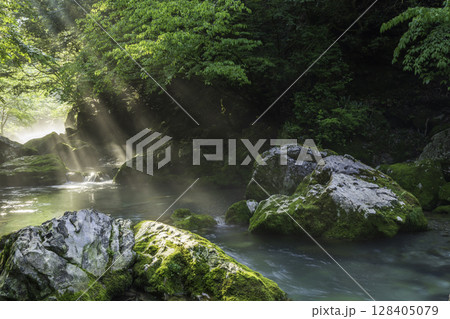 朝日が差し込む新緑と苔に包まれた円原川の幻想的な渓流風景 128405079
