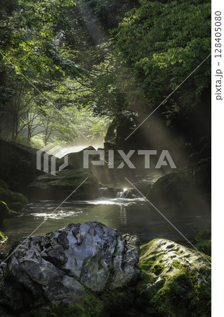 朝日が差し込む新緑と苔に包まれた円原川の幻想的な渓流風景 128405080
