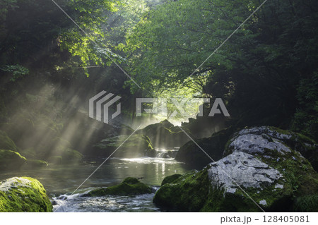 朝日が差し込む新緑と苔に包まれた円原川の幻想的な渓流風景 128405081
